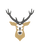 Snow Deer - الرئيسية